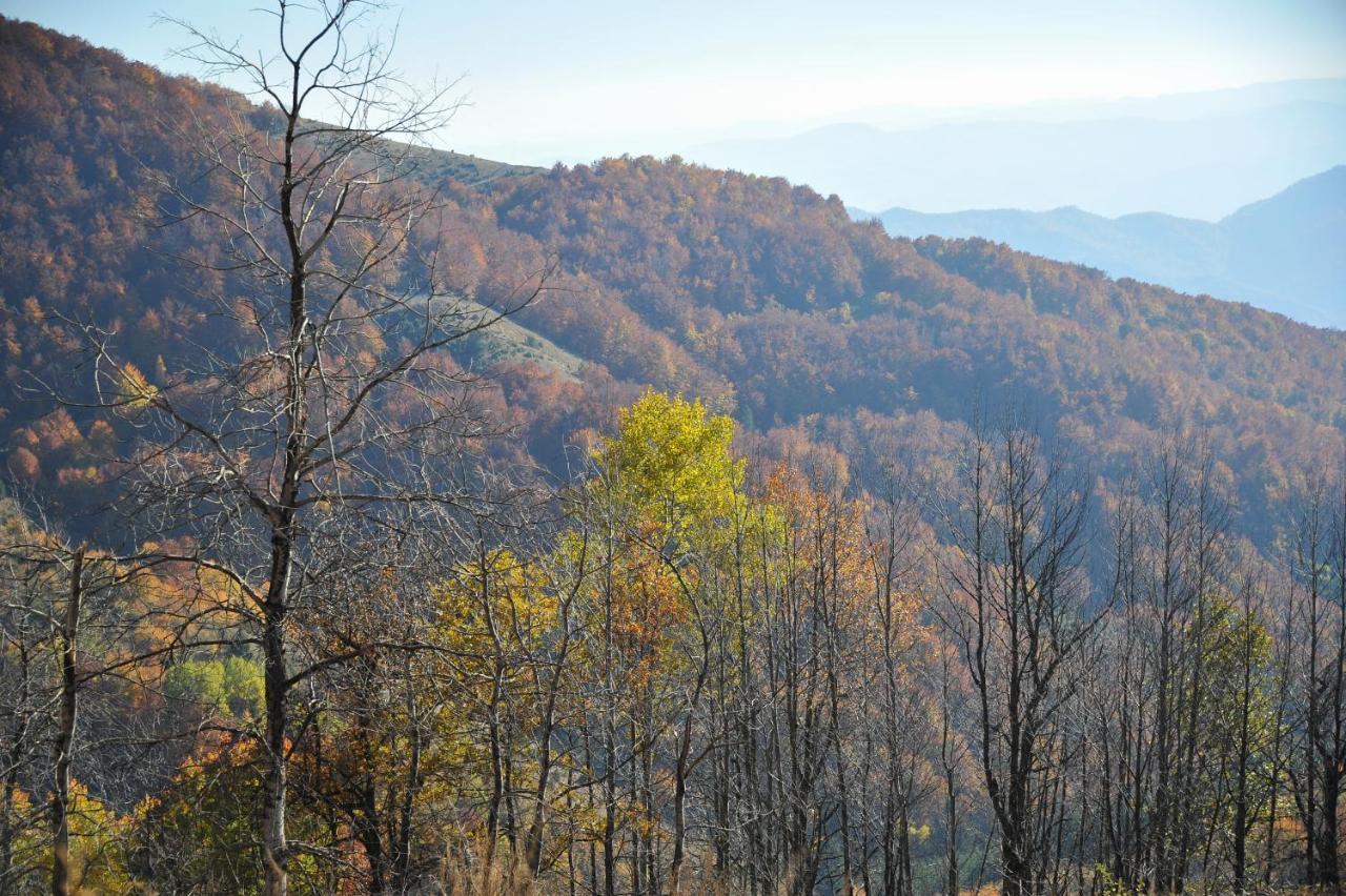Apartmani Krstojevic Kopaonik Dış mekan fotoğraf